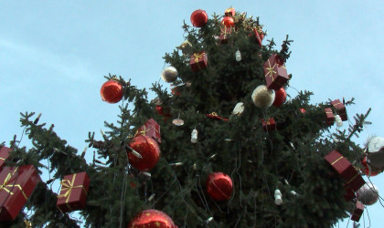 Christbaumentsorgung Reutlingen | Bildquelle: RTF.1