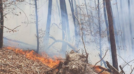 Waldbrand Urach Kunstm&uuml;hlefels | Bildquelle: Feuerwehr Bad Urach