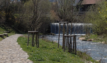 Gartenschau Balingen | Bildquelle: RTF.1