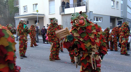 Narrenumzug Pfullingen | Bildquelle: RTF.1