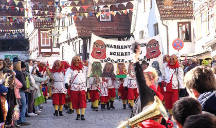 Narrenzunft Schrei Au | Bildquelle: RTF.1