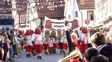 Narrenzunft Schrei Au | Bildquelle: RTF.1
