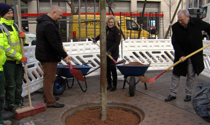 Oberb&uuml;rgermeister Keck und andere Repr&auml;sentaten pflanzen Ahornb&auml;ume ein | Bildquelle: RTF.1