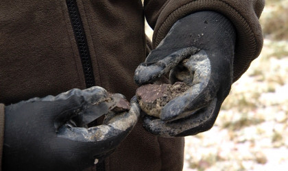 Anhand der Maserung erkennt man einen guten Perigord-Tr&uuml;ffel | Bildquelle: RTF.1