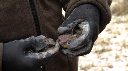 Anhand der Maserung erkennt man einen guten Perigord-Tr&uuml;ffel | Bildquelle: RTF.1