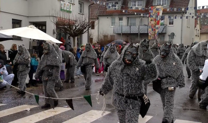 Narrenumzug Wurmlingen | Bildquelle: RTF.1
