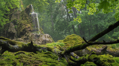 G&uuml;tersteiner Wasserf&auml;lle | Bildquelle: Photoclub Reutlingen