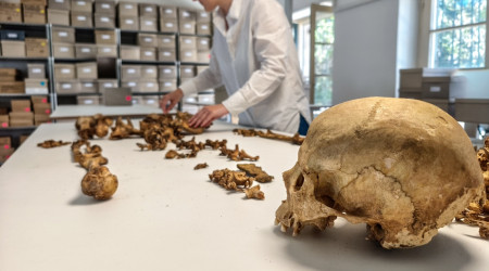 Anthropologische Untersuchung eines Skeletts vom fr&uuml;hmittelalterlichen Fundplatz Altheim bei Landshut an der Staatsammlung f&uuml;r Anthropologie M&uuml;nchen (SAM) | Bildquelle: Foto/?: Harbeck/SAM