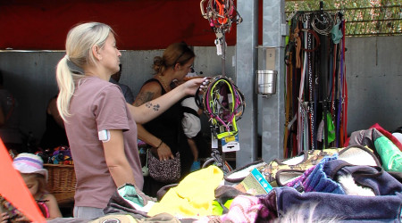 Riesenflohmarkt im Tierheim Reutlingen | Bildquelle: RTF.1