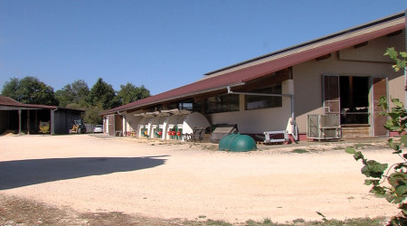 Landwirtschaftlicher Betrieb Gerd & Tobias Walter GbR | Bildquelle: RTF.1