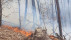 Waldbrand Urach Kunstm&uuml;hlefels | Bildquelle: Feuerwehr Bad Urach
