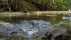 Niedrigwasser am Arbach | Bildquelle: RTF.1