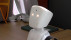 Dieser kleine Roboter ist ein Avatar | Bildquelle: RTF.1