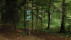 Bike-Spirit-Award | Bildquelle: RTF.1