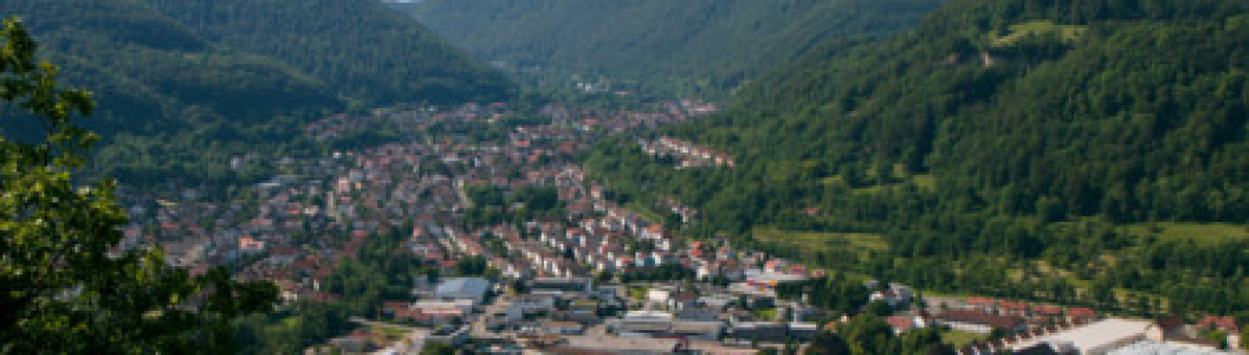 Lichtenstein-Unterhausen | Bildquelle: RTF.1