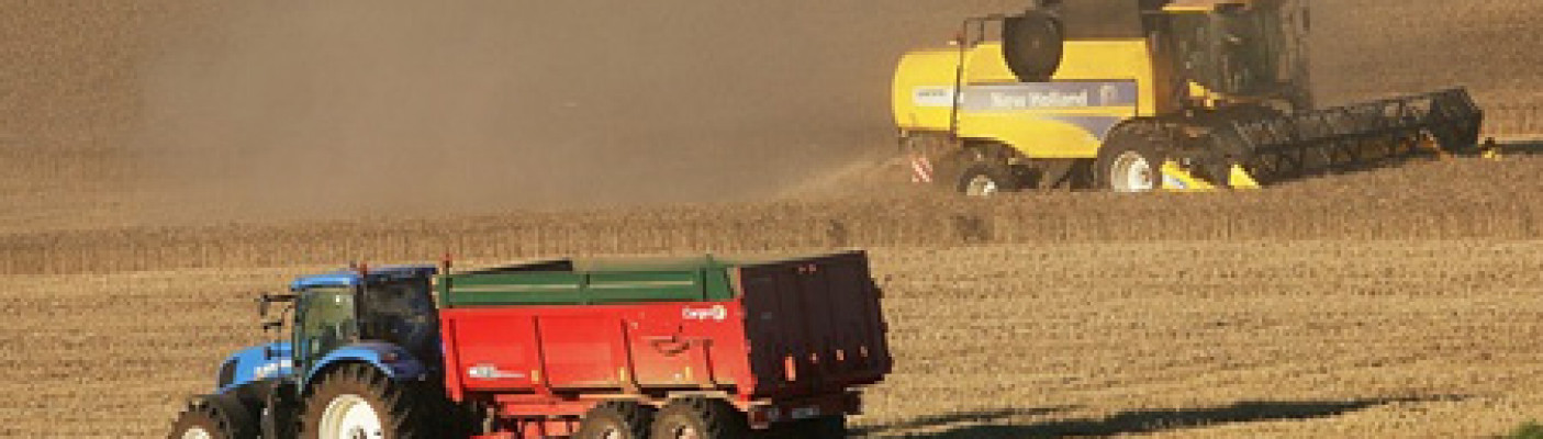 Landwirtschaft | Bildquelle: pixabay.com