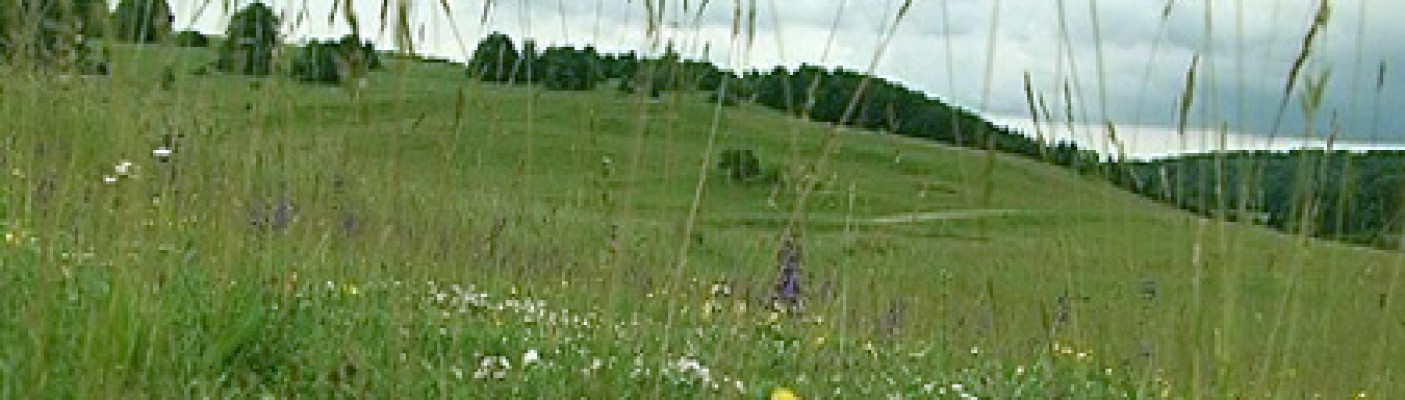 Biosphärengebiet Schwäbische Alb | Bildquelle: RTF.1