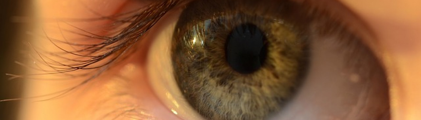 Auge | Bildquelle: Pixabay.com