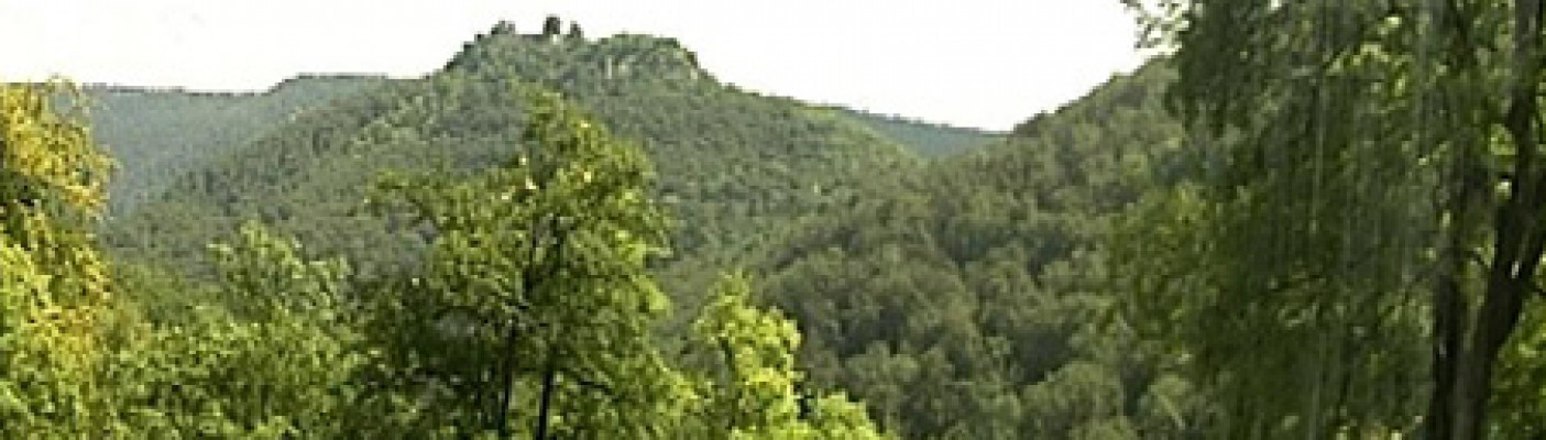Burgruine Hohenurach | Bildquelle: RTF.1