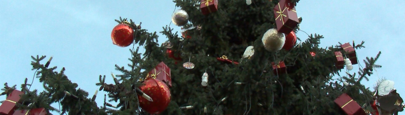 Christbaumentsorgung Reutlingen | Bildquelle: RTF.1