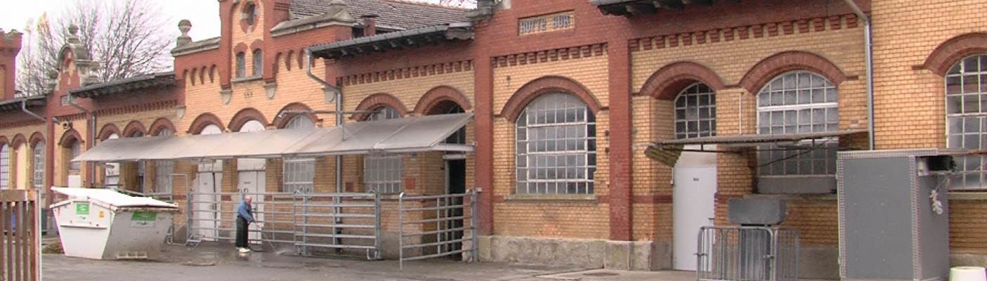 Regionales Schlachten | Bildquelle: RTF.1