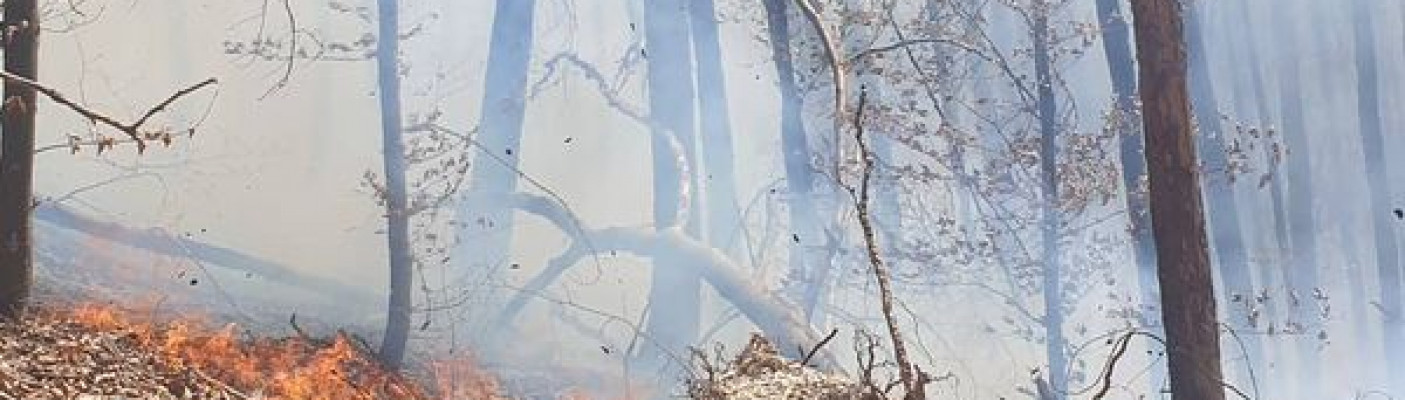 Waldbrand Urach Kunstm&uuml;hlefels | Bildquelle: Feuerwehr Bad Urach