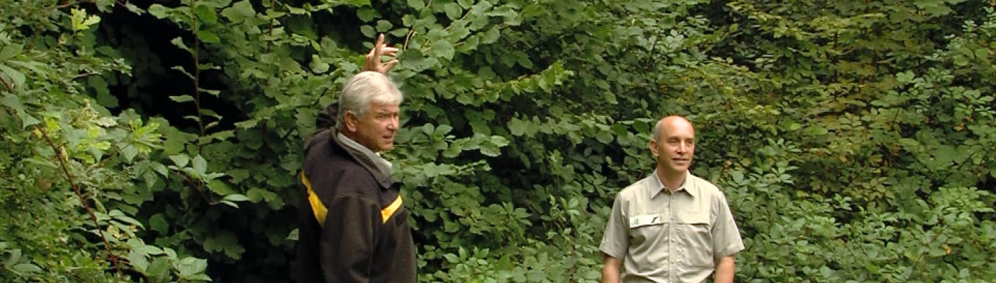 Wie geht es dem Wald? | Bildquelle: RTF.1