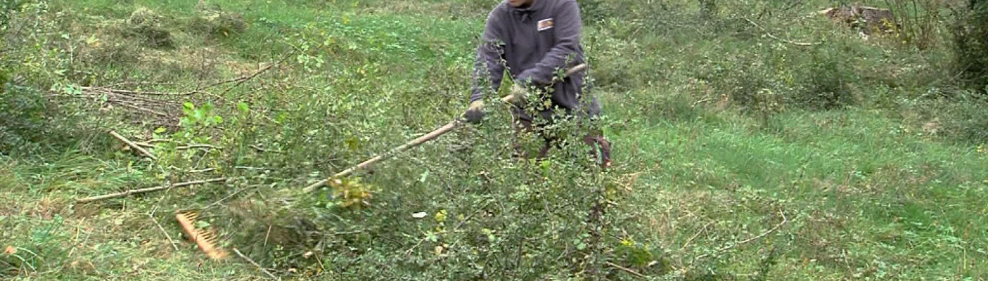 Spendenprojekt erm&ouml;glicht Naturschutzma&szlig;nahme | Bildquelle: RTF.1
