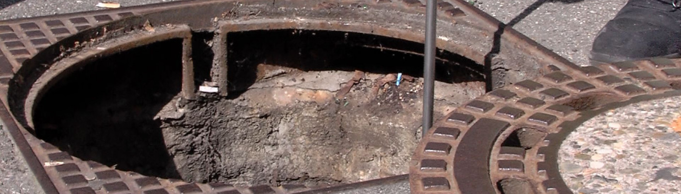 Rattenbekämpfung in Reutlingen | Bildquelle: RTF.1