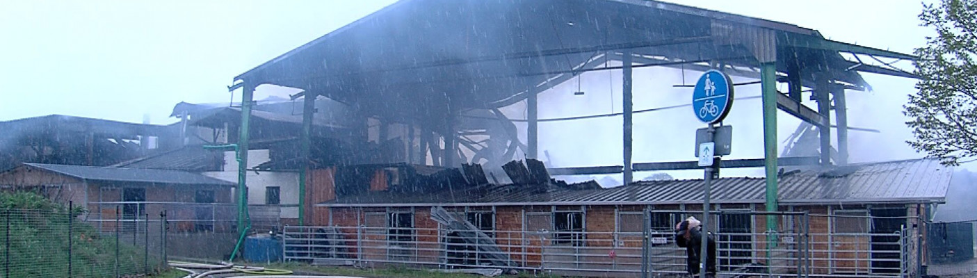 Pferdehof Ofterdingen Brand | Bildquelle: RTF.1