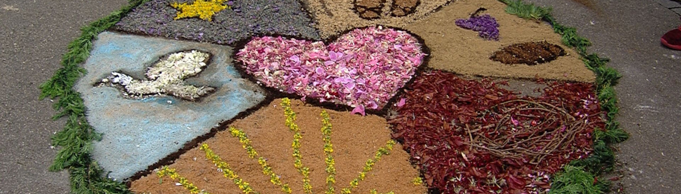 Blumenteppich | Bildquelle: RTF.1