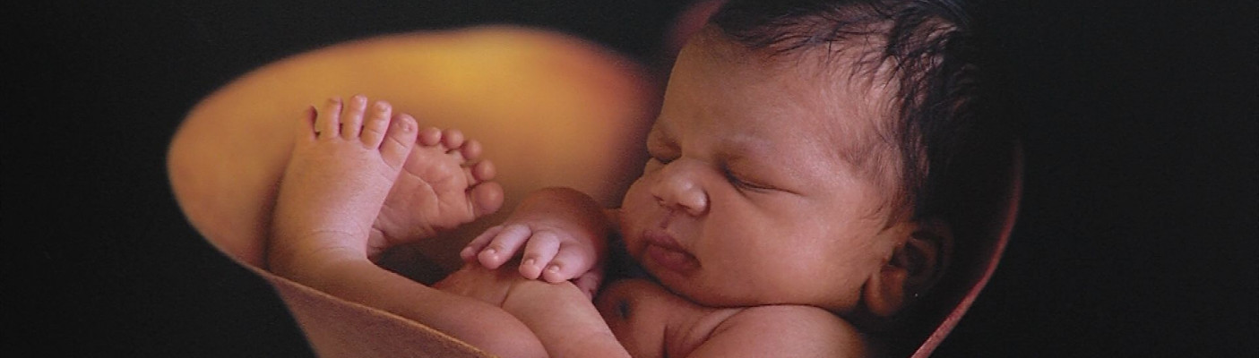 Babyfoto von Anne Geddes | Bildquelle: Anne Geddes, RTF.1
