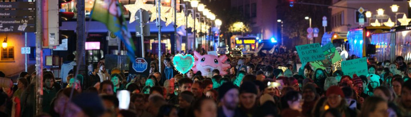 Laternendemo von Fridays for Future | Bildquelle: Thomas Dinges