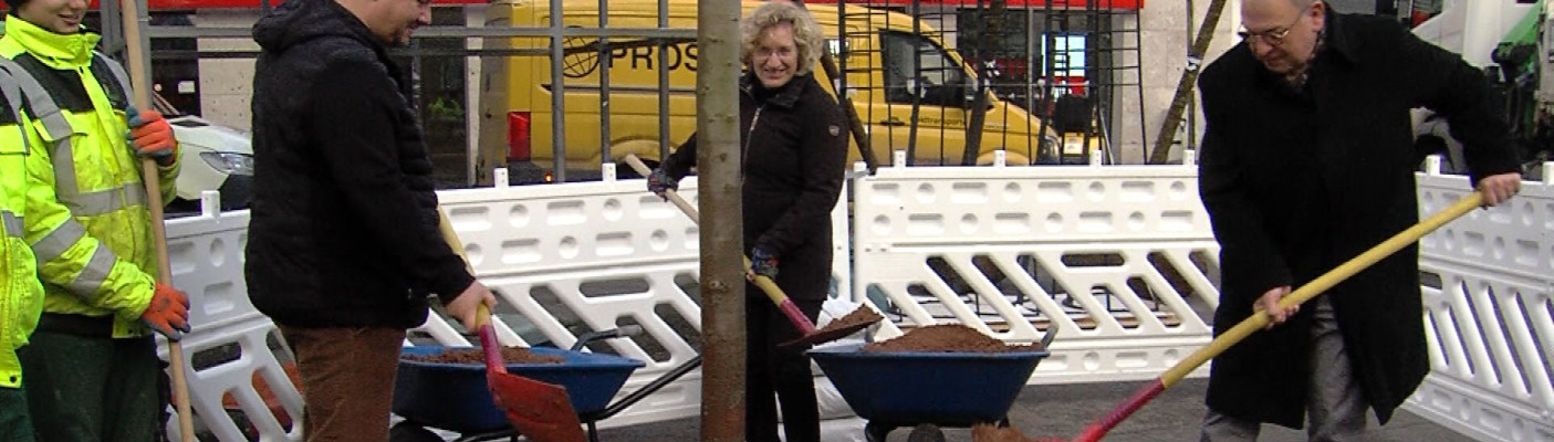 Oberb&uuml;rgermeister Keck und andere Repr&auml;sentaten pflanzen Ahornb&auml;ume ein | Bildquelle: RTF.1