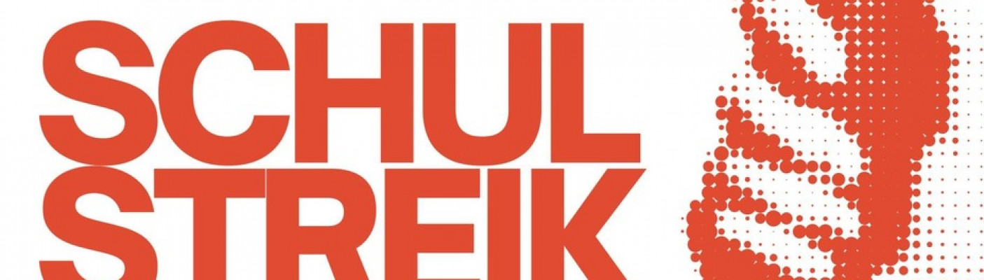 Schulstreik Plakat | Bildquelle: 