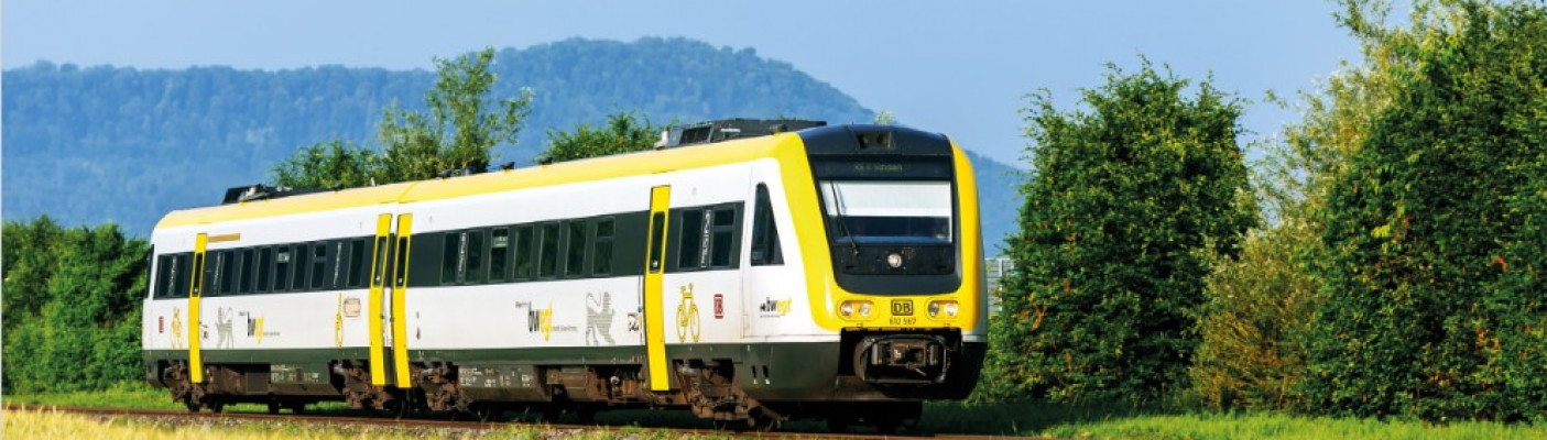 Zug auf Hochrheinbahn | Bildquelle: Deutsche Bahn AG / Thomas Niederm&uuml;ller