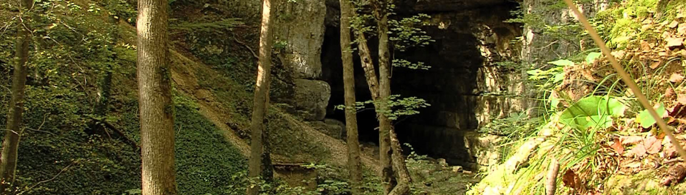 Falkensteiner H&ouml;hle | Bildquelle: RTF.1