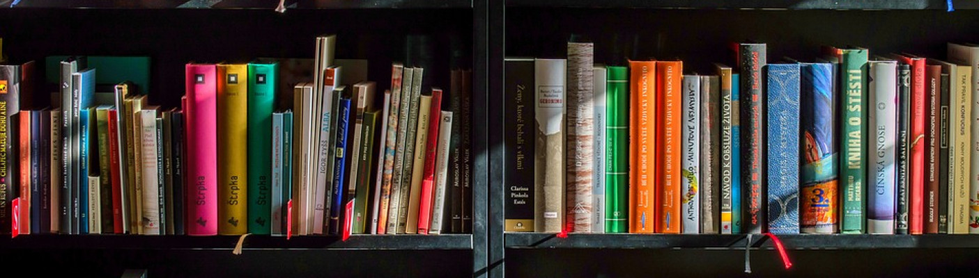 Bücherregal schwarz Halbtotal | Bildquelle: Pixabay
