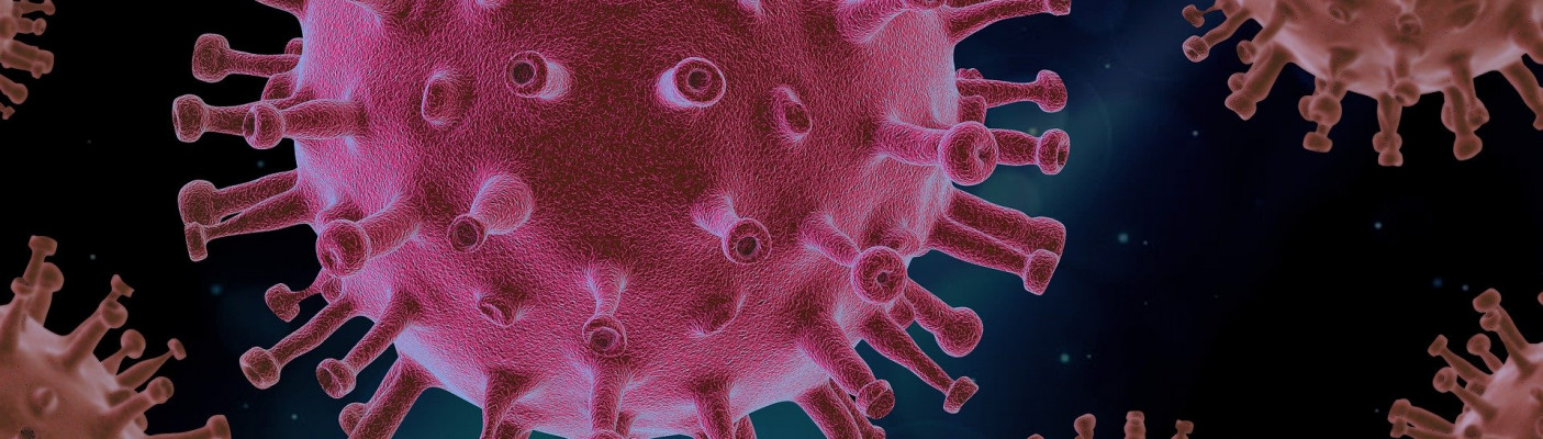 Coronavirus | Bildquelle: Bild von Pixabay 