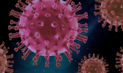 Coronavirus | Bildquelle: Bild von Pixabay 