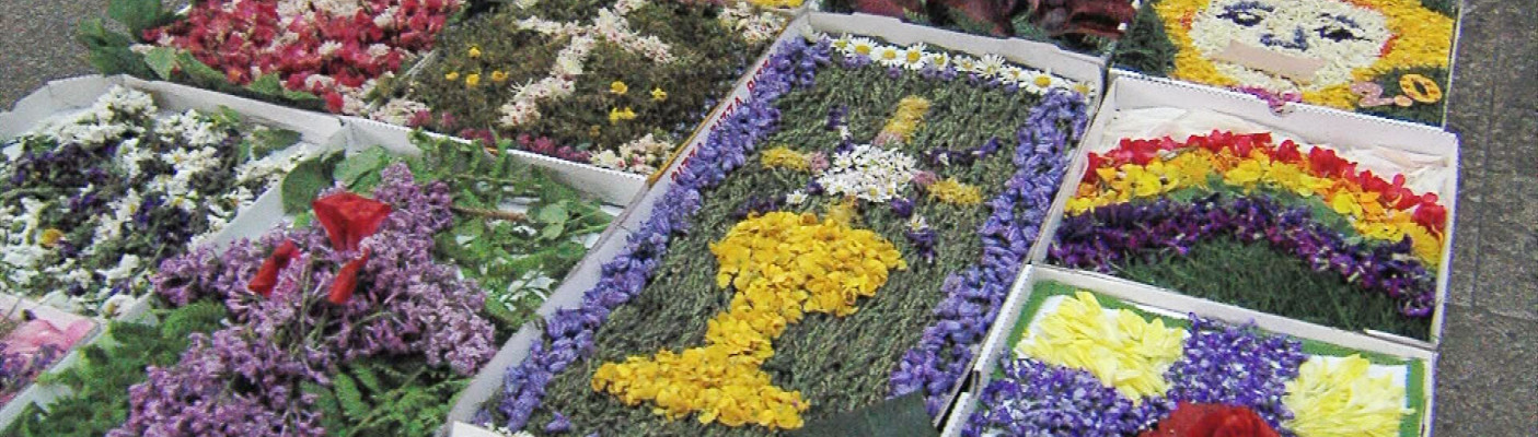 Blumenteppiche in Pizzakartons  | Bildquelle: RTF.1