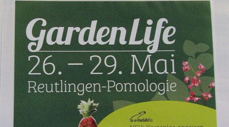 Garden Life in Reutlingen | Bildquelle: RTF.1