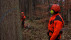 Waldarbeiter im Wald | Bildquelle: RTF.1
