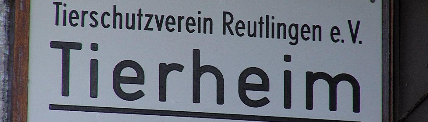Tierheim Reutlingen | Bildquelle: RTF.1