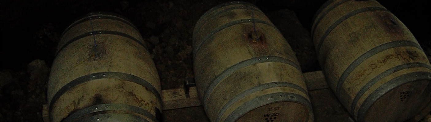 Wein reift in der Bärenhöhle | Bildquelle: RTF.1